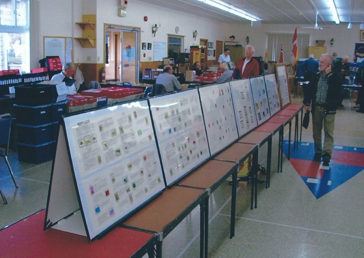 Annual show